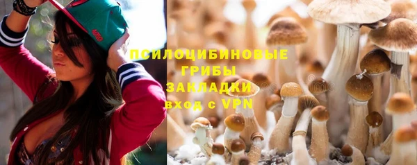 PSILOCYBIN Саяногорск