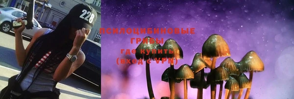 мяу мяу мука Сатка