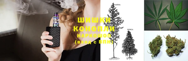 PSILOCYBIN Саяногорск