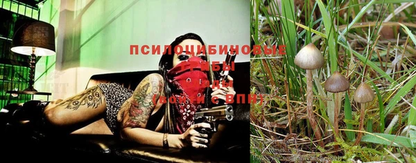 мяу мяу мука Сатка