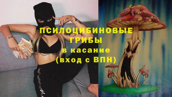 мяу мяу мука Сатка
