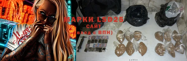 PSILOCYBIN Саяногорск