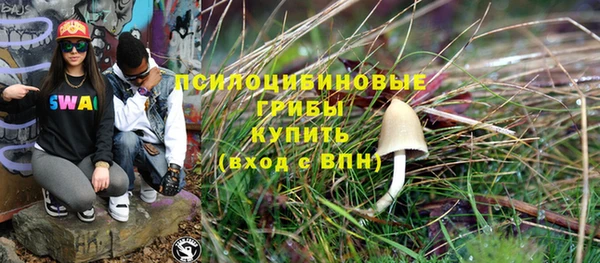 прущие грибы Балахна